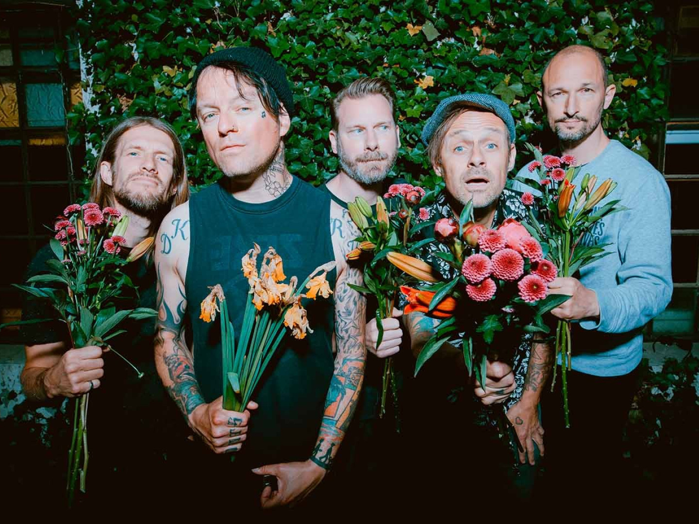 donots-1.jpg